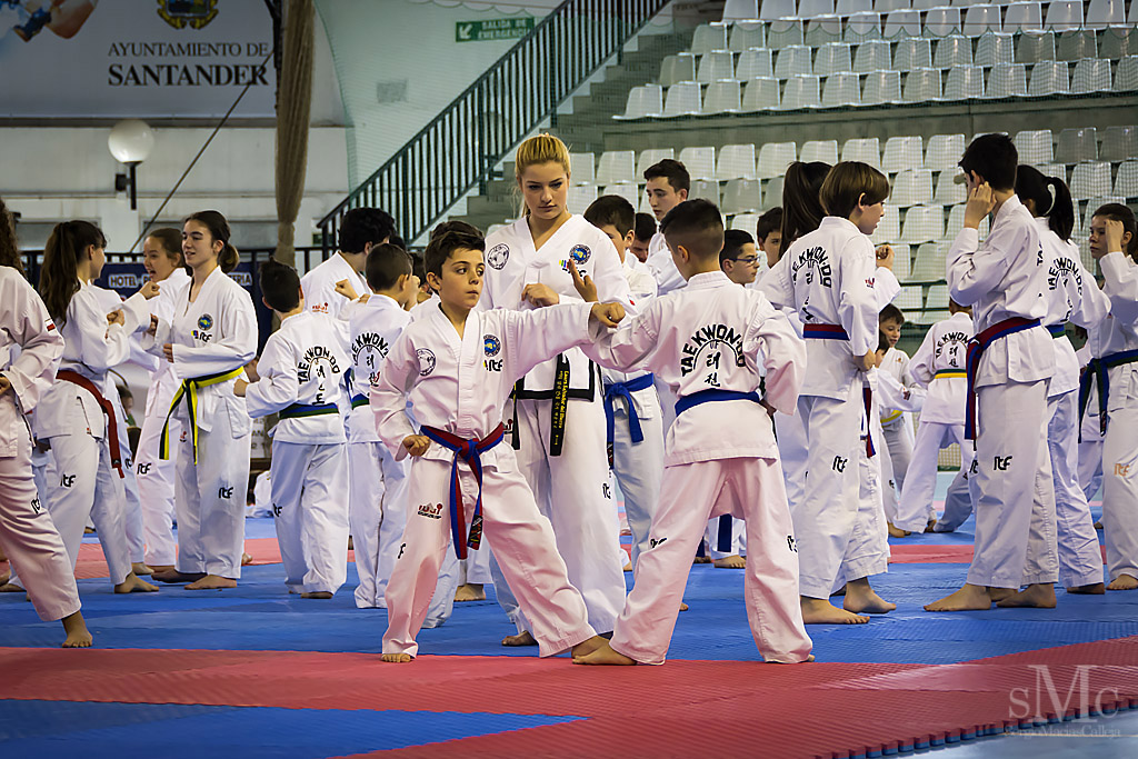 DIA DEL TAEKWONDO ABRIL 2017_3950.JPG